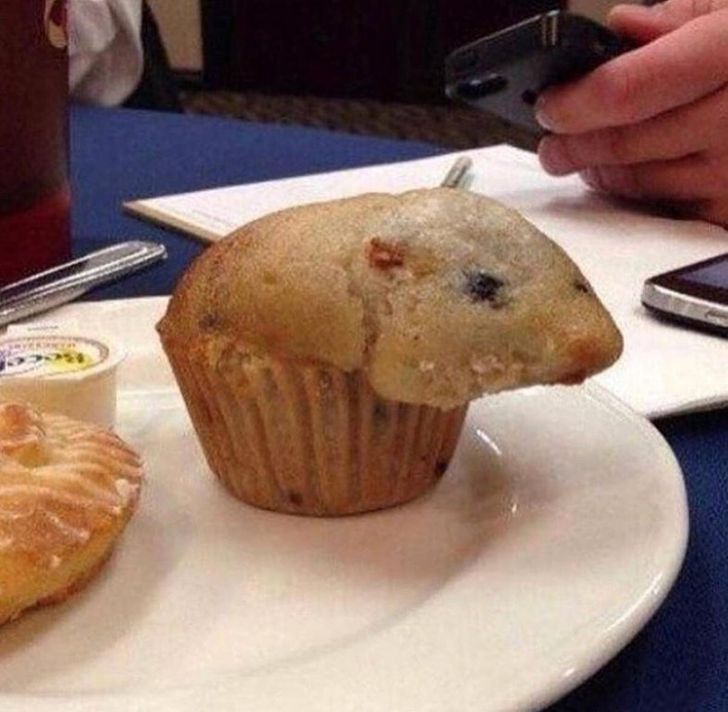 25 Pictures You Need To Look At Twice