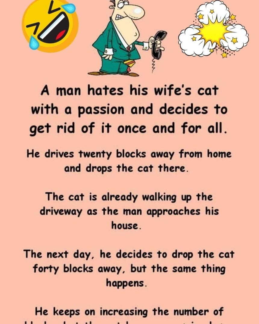 A man hates his wife's cat with a passion and decides to get rid of it once and for all