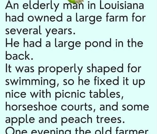 I’m here to feed the alligator