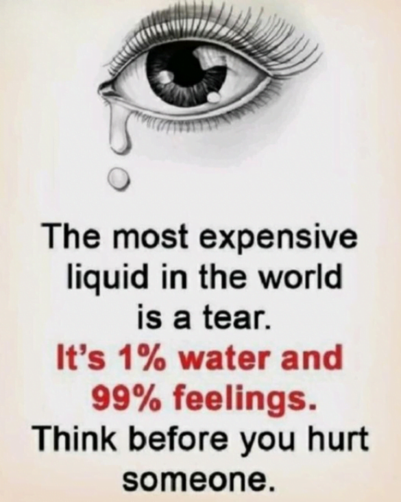 The most expensive liquid in the world is a tear.