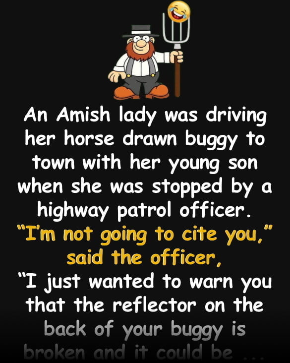 Funny Joke: An Amish Lady Driving Her Horse Drawn Buggy Is Pulled Over By The Police