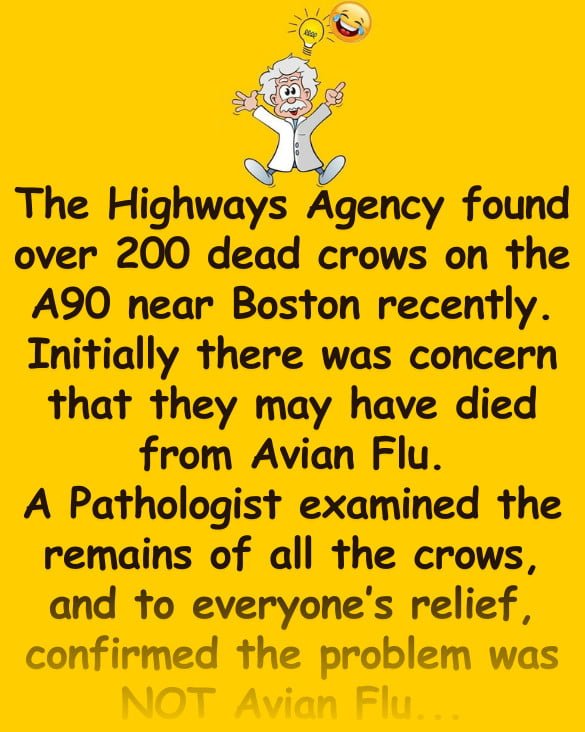 Funny Joke: The Highways Agency found over 200 dead crows on the A90 near Boston recently