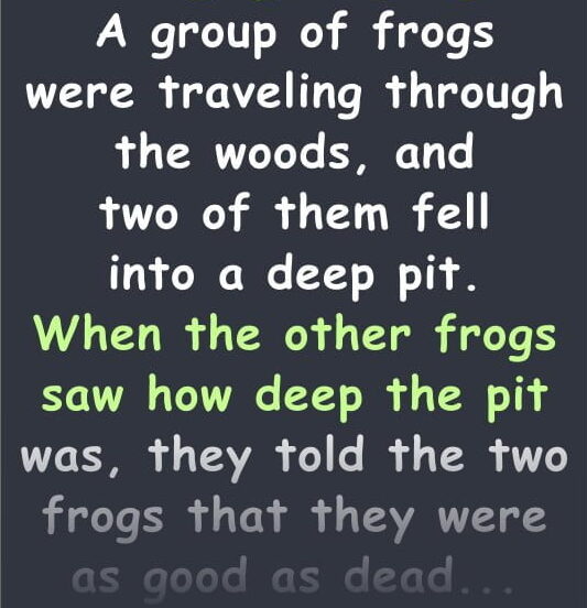 The Story Of Two Frogs