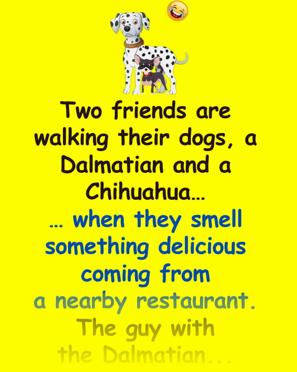 Funny Joke: Two friends are walking their dogs, a Dalmatian and a Chihuahua