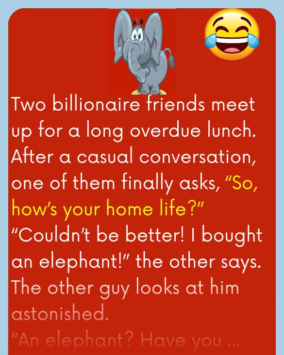 Funny Joke: A billionaire bought an elephant, the best pet he ever had… until this happened