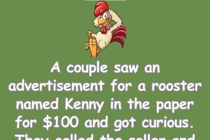 Funny (dirty) Joke: A couple saw an advertisement for a rooster named Kenny for $100 and got curious