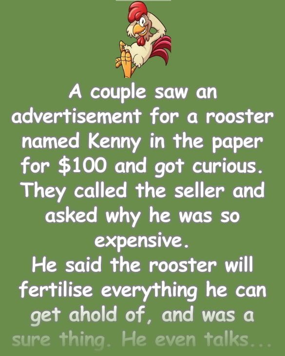 Funny (dirty) Joke: A couple saw an advertisement for a rooster named Kenny for $100 and got curious