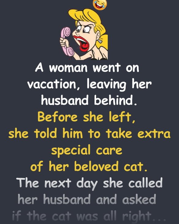 Funny Joke: A Wife leaves her Cat in the care of the Husband