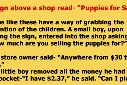 The Little Boy Decided To Buy A Puppy Instead Of Get It For Free