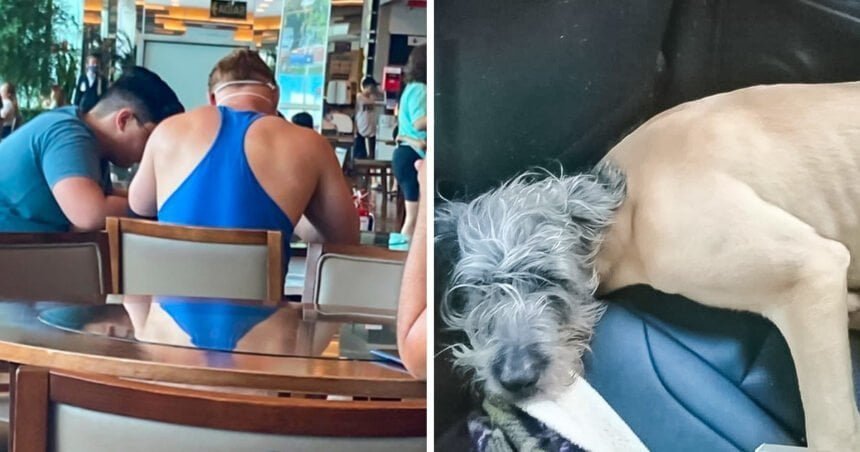 15 Puzzling Photos That Are Not What They Seem at First Sight