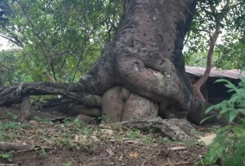 20 Photos That Prove You Have A Dirty Mind