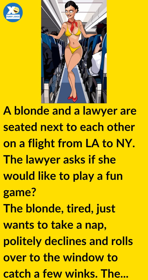 A Blonde And A Lawyer In Flight From LA To NY