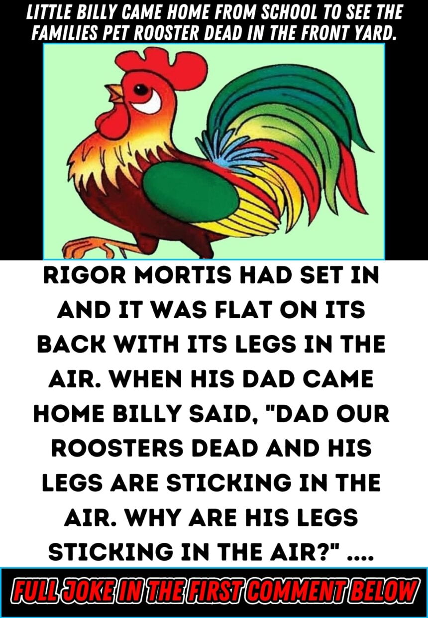 Little Billy came home from school to see the families pet rooster dead in the front yard.