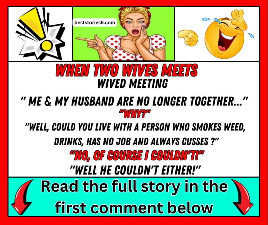 When Two Wives Meets