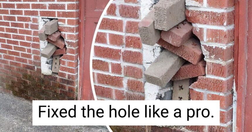 18 Pictures That Definitely Need an Explanation