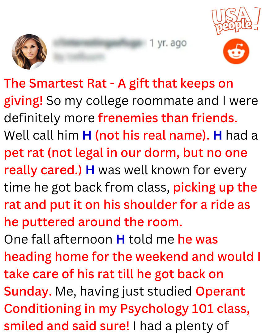 The Smartest Rat - A gift that keeps on giving!