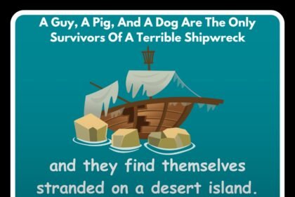 A Guy, A Pig, And A Dog Are The Only Survivors Of A Terrible Shipwreck