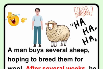 A man buys several sheep, hoping to breed them for wool.