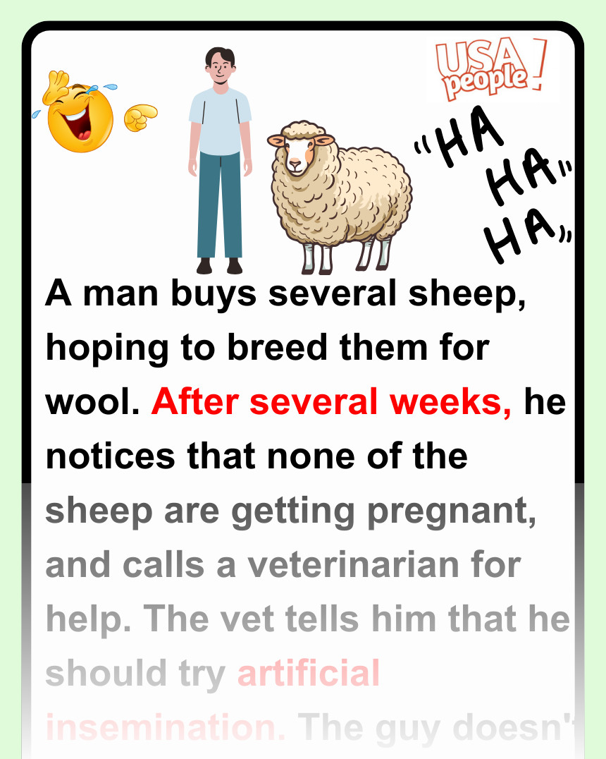 A man buys several sheep, hoping to breed them for wool.