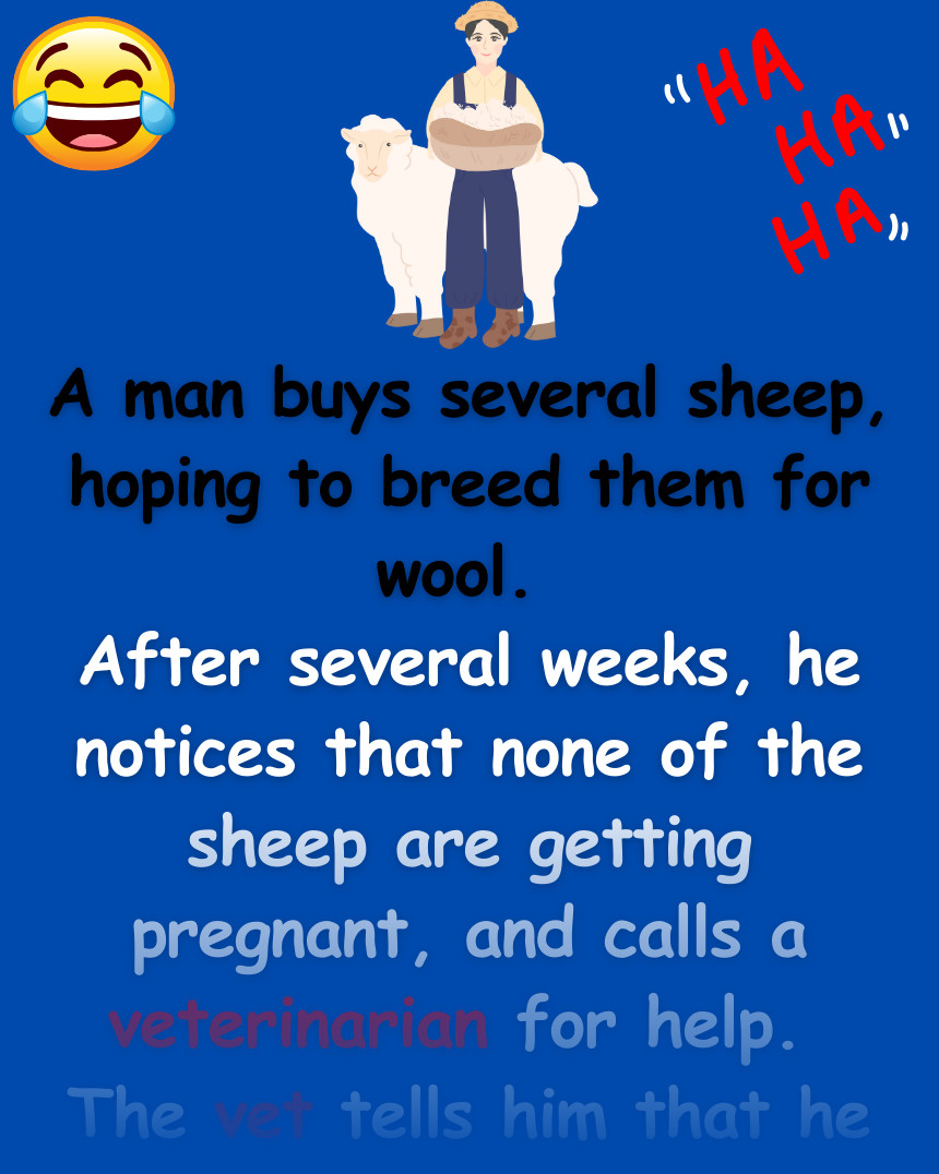 A man buys several sheep, hoping to breed them for wool.