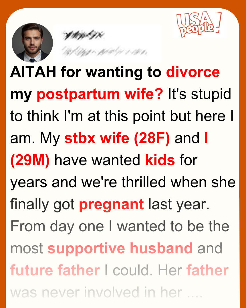 AITAH for wanting to divorce my post partum wife?