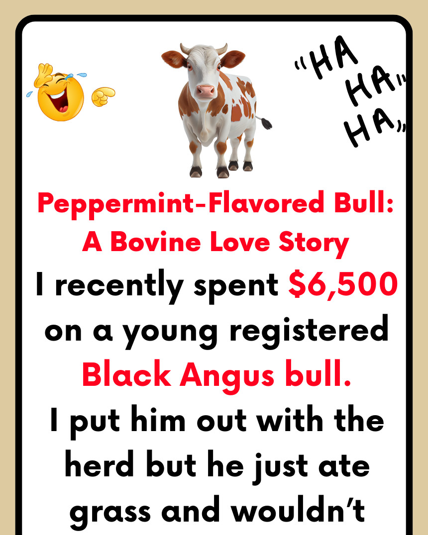 Peppermint-Flavored Bull: A Bovine Love Story