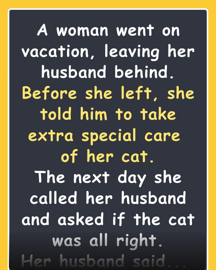 A woman went on vacation, leaving her husband behind.