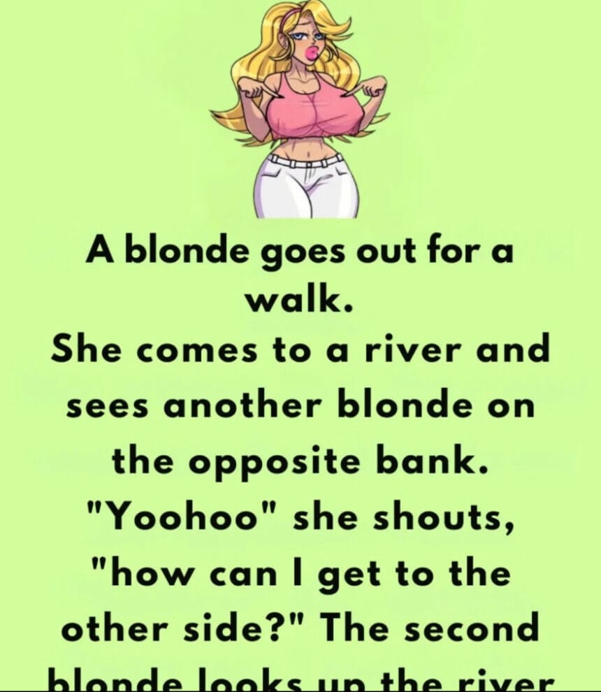 Finally, a blonde joke I haven’t heard before…