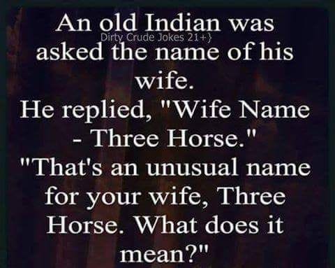 Three Horse: The Hilarious Explanation Behind the Name