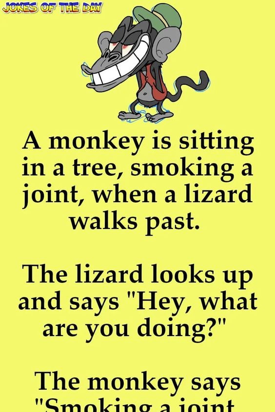 Funny: A monkey is sitting in a tree, smoking a joint, when a lizard walks past