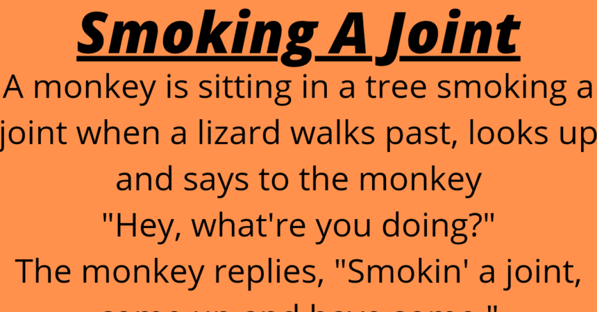 Funny: A monkey is sitting in a tree, smoking a joint, when a lizardwalks past