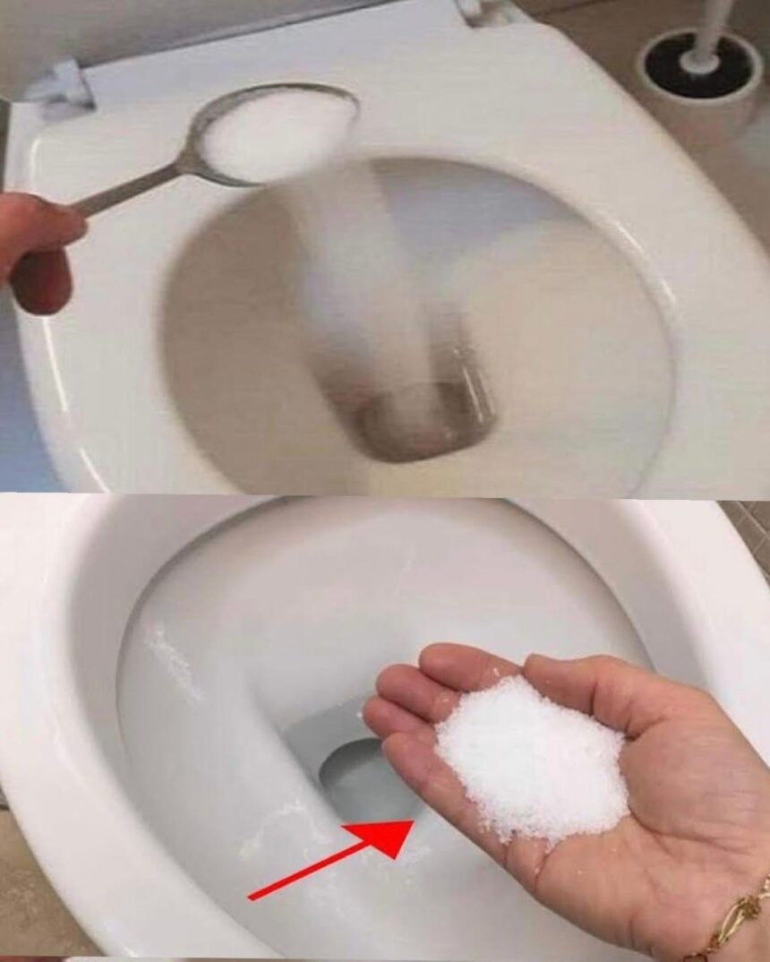 Put salt in the toilet – This is something plumbers will never tell you