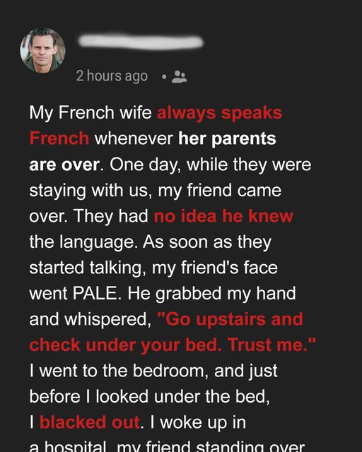 I Asked My Friend to Come over & His Ability to Speak French Revealed a Startling Family Drama