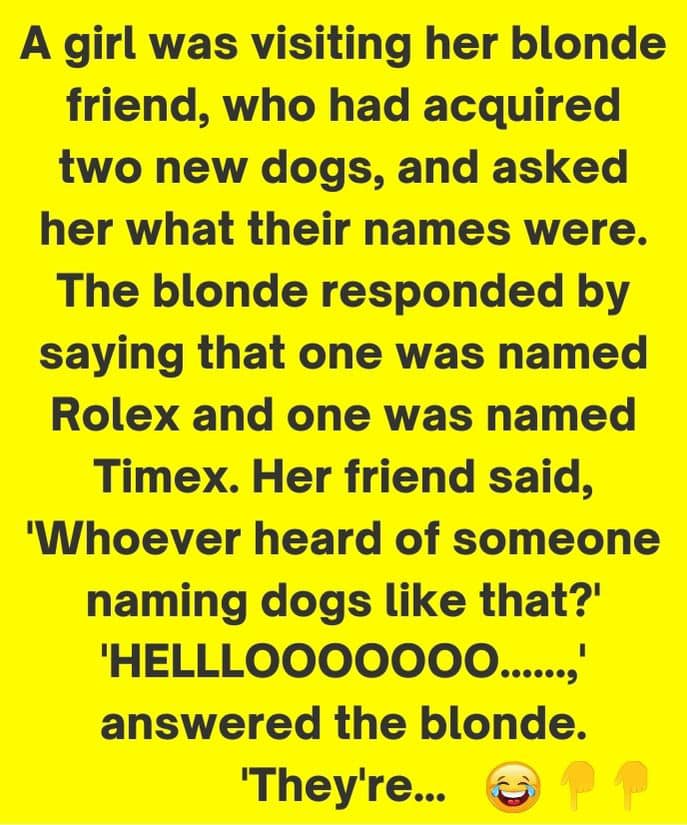 THE BLONDE JOKE TO END ALL BLONDE JOKES