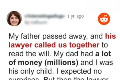 I intended to take back my father’s inheritance, which had been given to a stranger, until a hidden family secret turned everything upside down