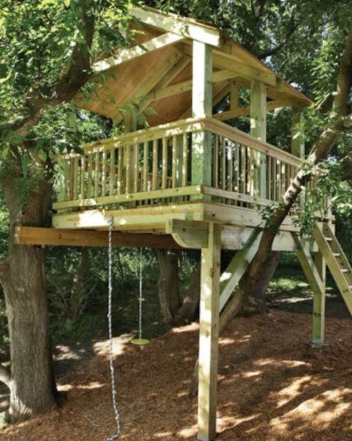 EVERYONE STARTED FIGHTING OVER THE TREE HOUSE INSTEAD OF THE MONEY—AND I COULDN’T BELIEVE WHO SHOWED UP