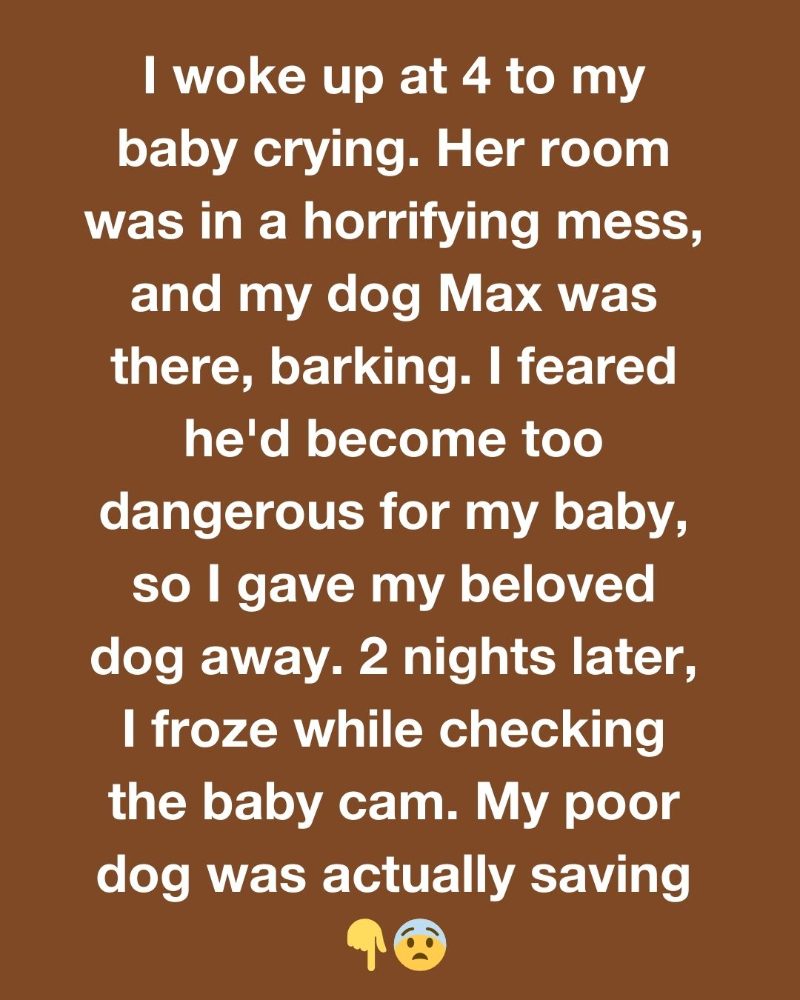 MY DOG WASN’T THE THREAT—HE WAS THE HERO I NEVER UNDERSTOOD 1 Usa People MY DOG WASN’T THE THREAT—HE WAS THE HERO I NEVER UNDERSTOOD