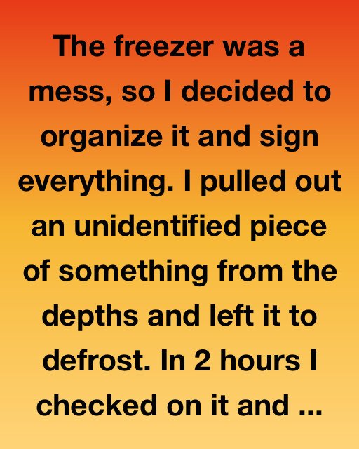 The Forgotten Roast: A Freezer Surprise That Changed Everything