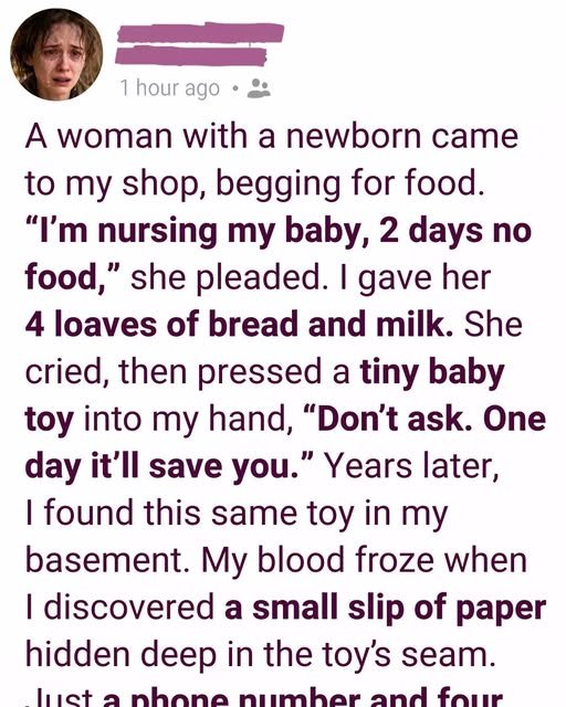 I Fed a Hungry Mother and Her Baby… Then She Left Me a Toy With a Promise I Didn’t Understand Until Years Later