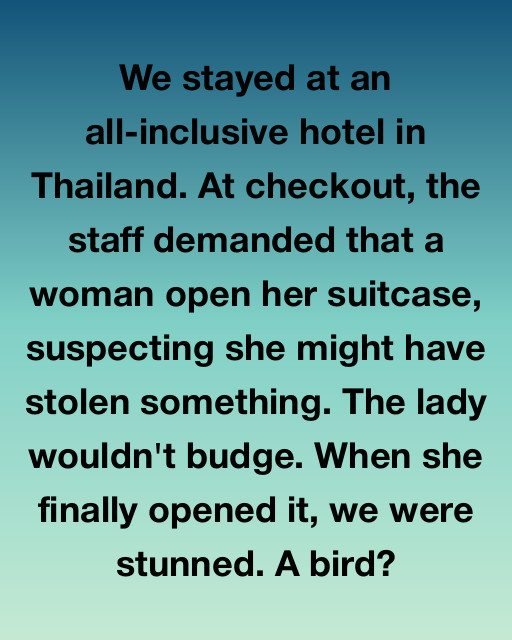 The Unexpected Stowaway