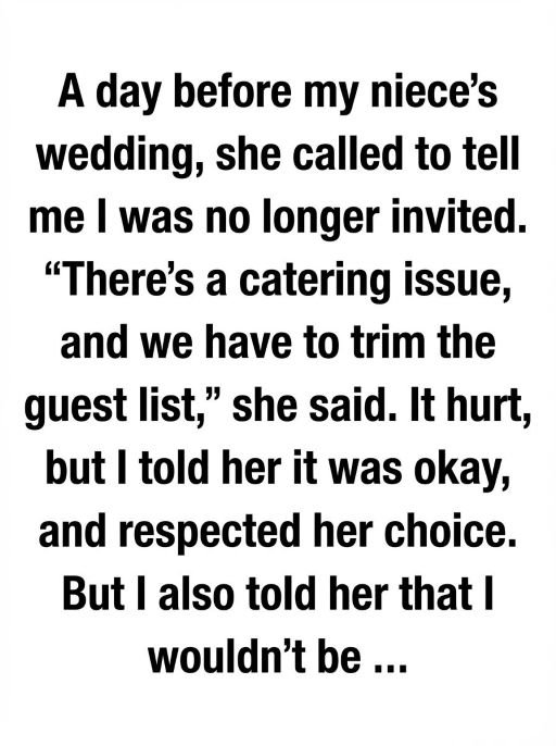 When I Was Asked Not to Attend the Wedding, I Chose Grace Instead