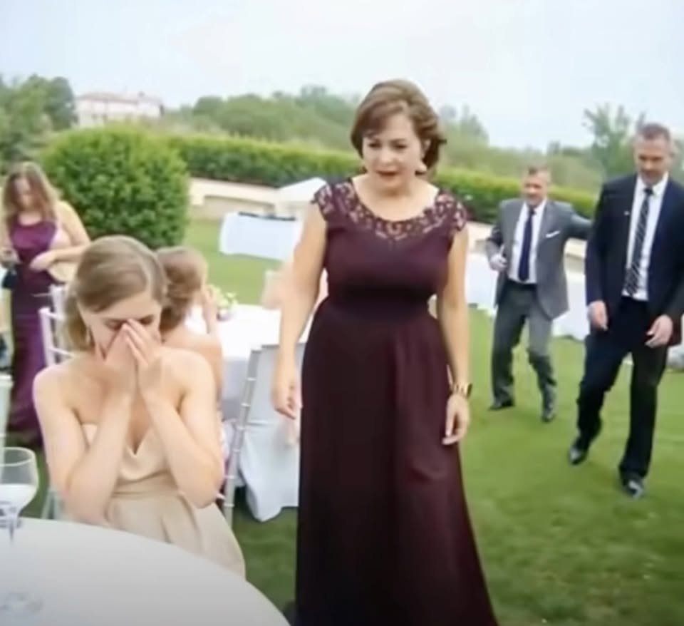 They Thought the Vineyard Belonged to My New Husband. After the Wedding, They Revealed Who They Really Were.