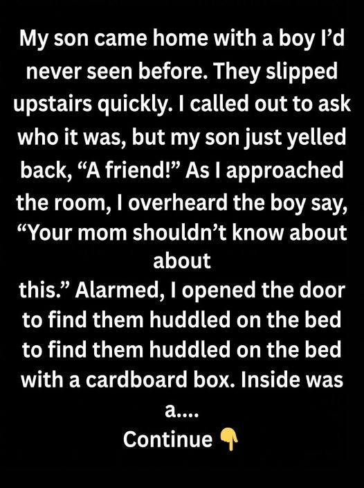 My Son Brought Home a Secret That Turned Into a Lesson About Kindness