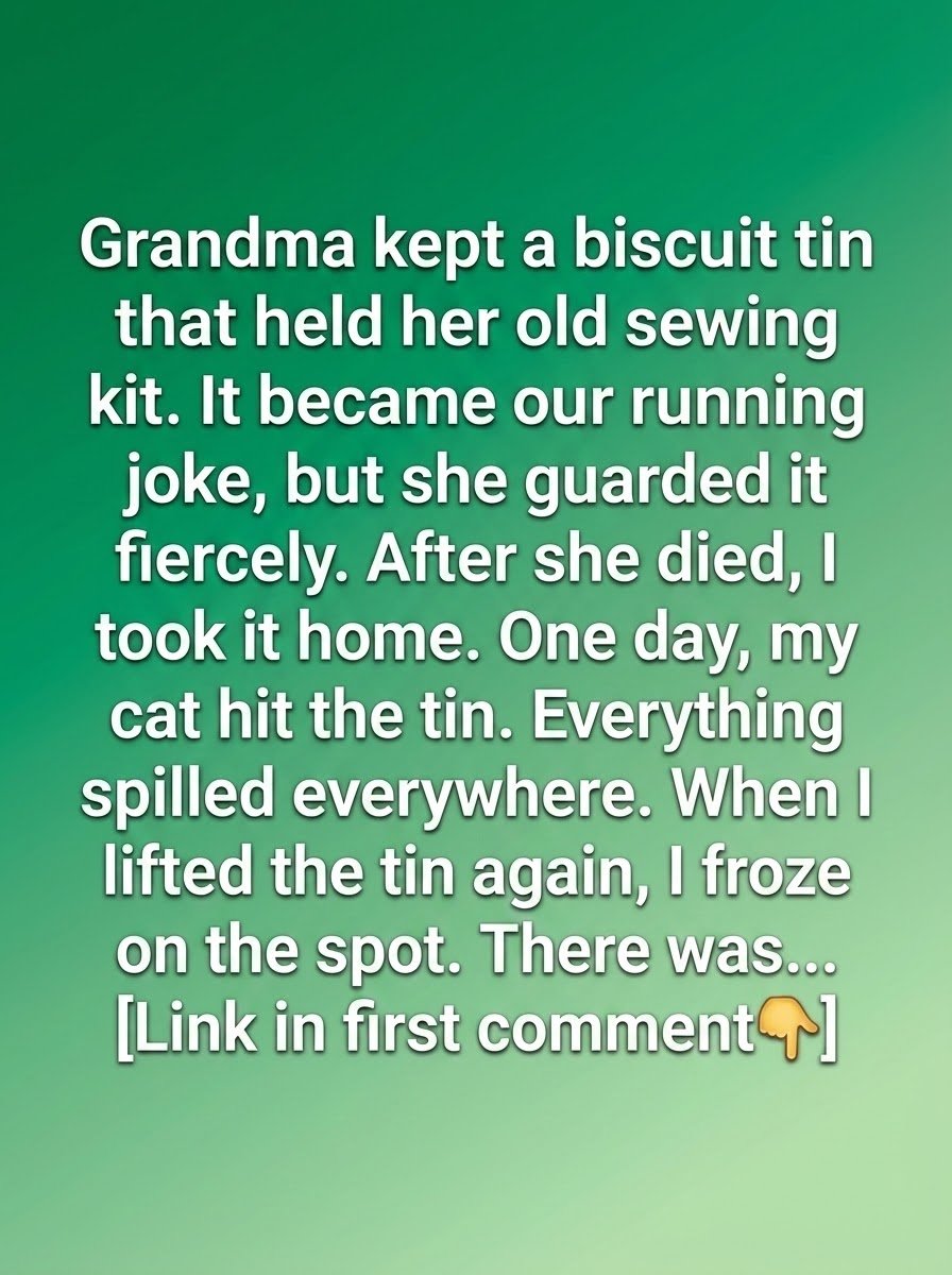 The Biscuit Tin My Grandmother Kept for Reasons I Only Understood Later