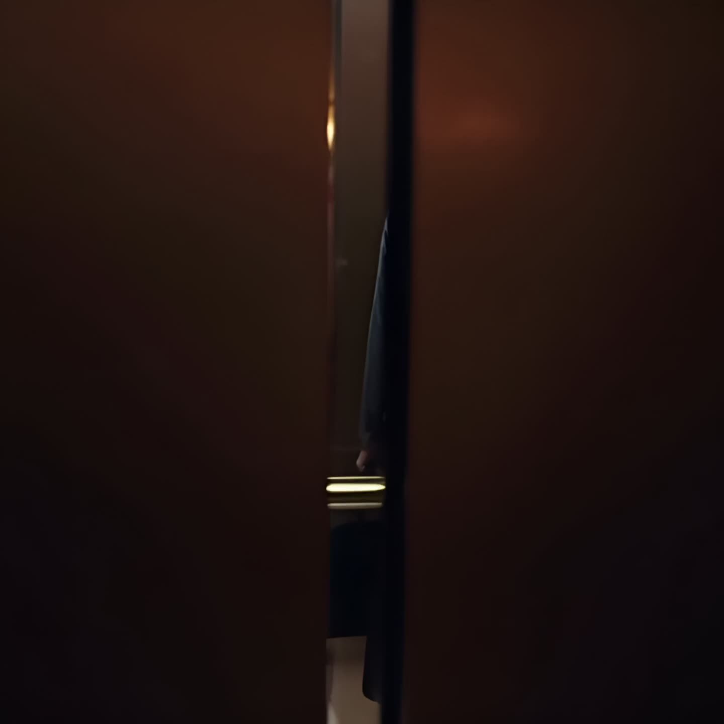 I walked into a hotel to save his big night—and the elevator mirror showed me the moment my life split in two