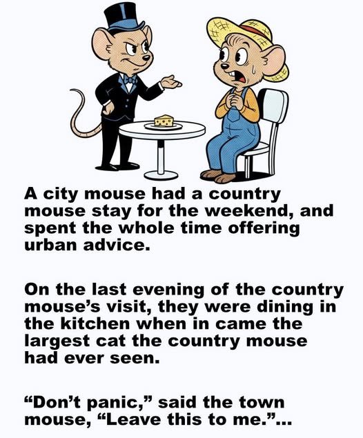 A city mouse had a country mouse stay for the weekend