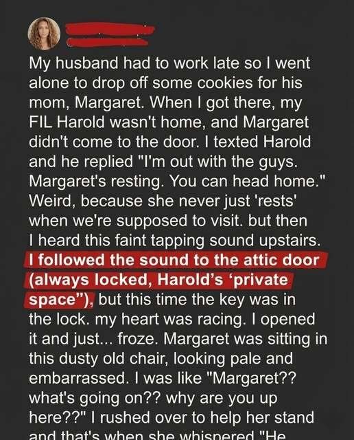 I Visited My In-Laws and Discovered My MIL Locked in the Attic — The Reason Left Me Shaken